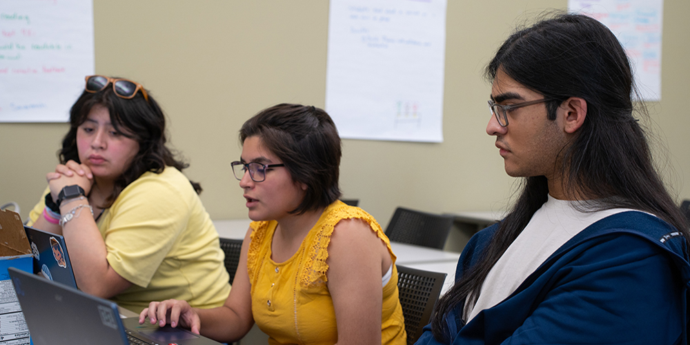 Students studying together
