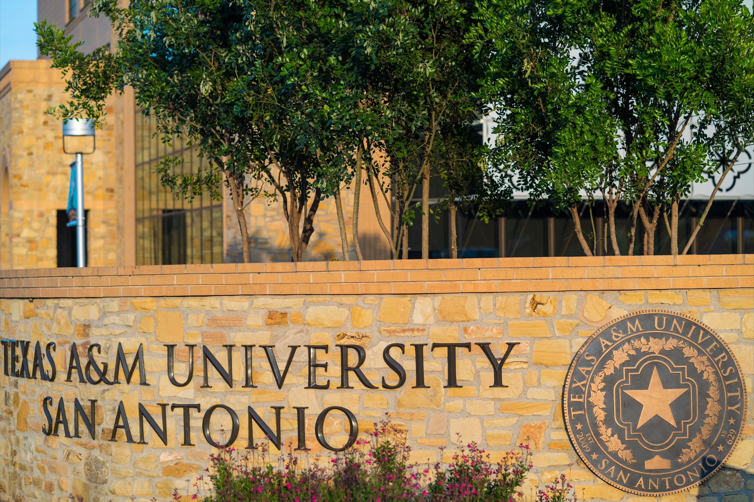 University Entrance