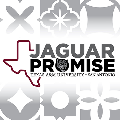 Jaguar Promise