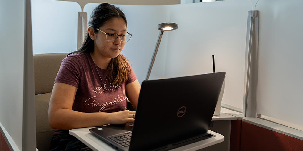 Student Working on Laptop
