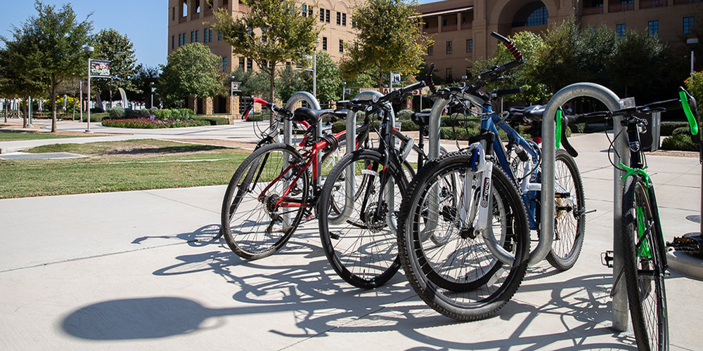 Bikes Parked On Campus