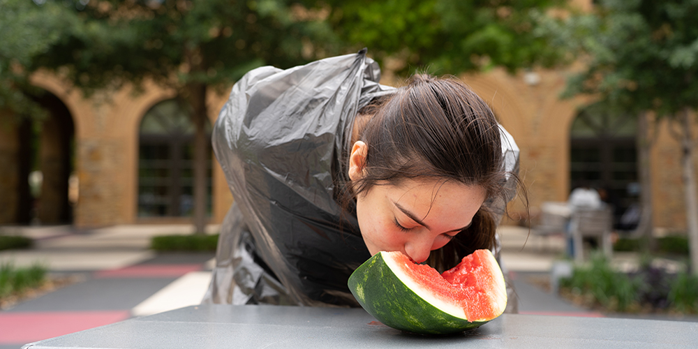 Wastermelon Eating Contest