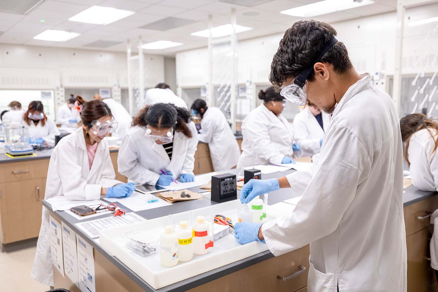Bachelor in Biology