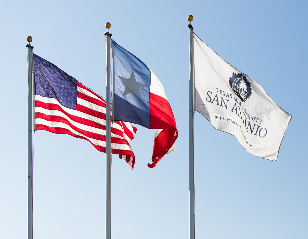 2-flags.jpg