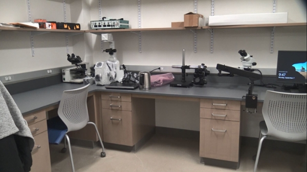 Muscle Physiology Lab