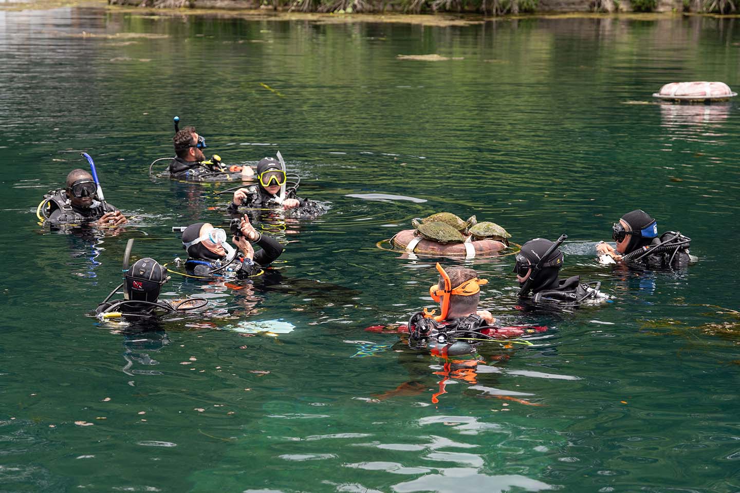 Group of People in Water