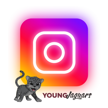 YJ Instagram Icon