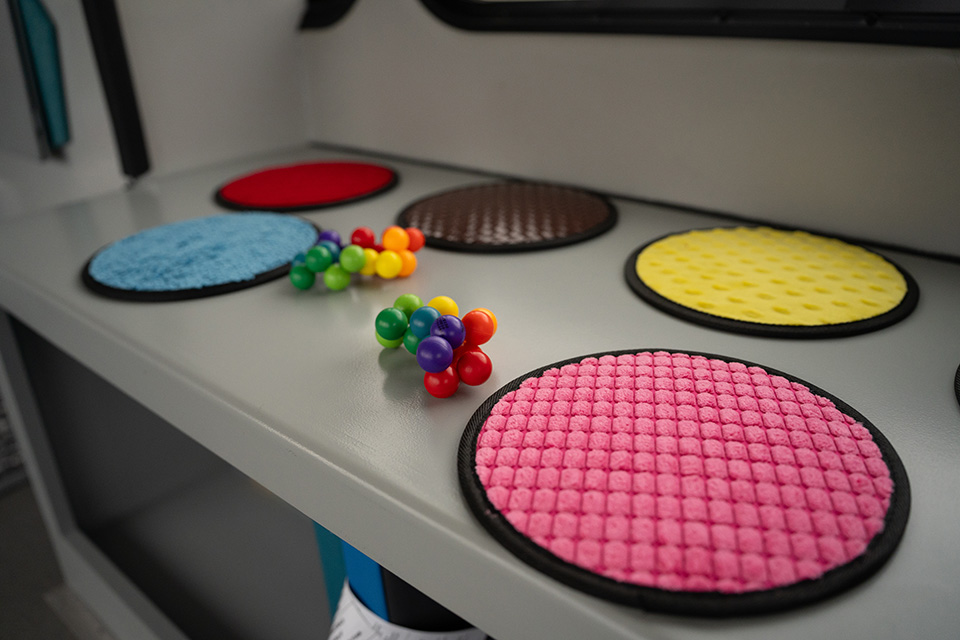 Image of Special Education (MEd)