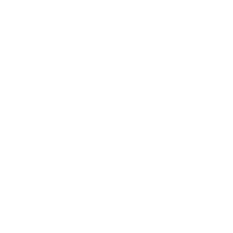 Texas A&M University Seal