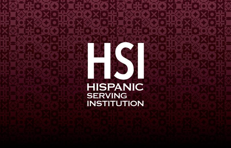 HSI Recognition