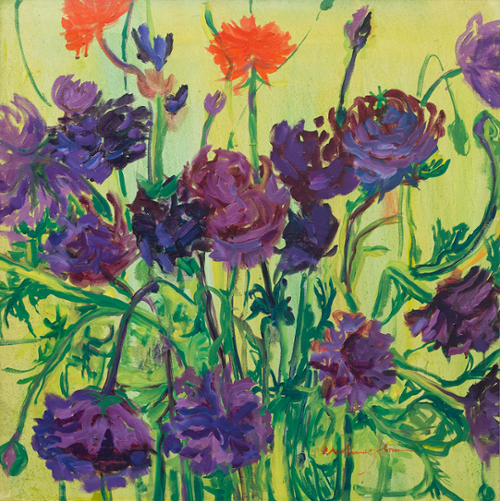 Ranunculus II