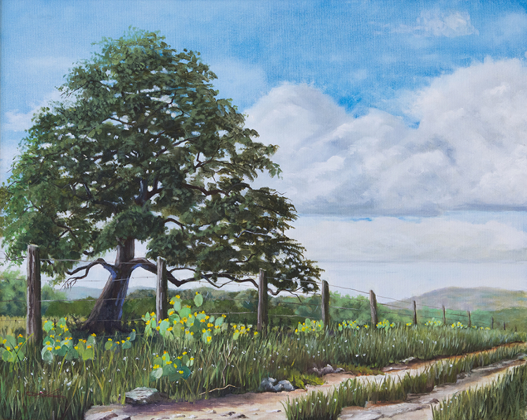 Owen's Trail