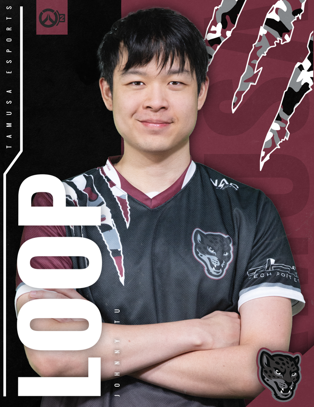 team user