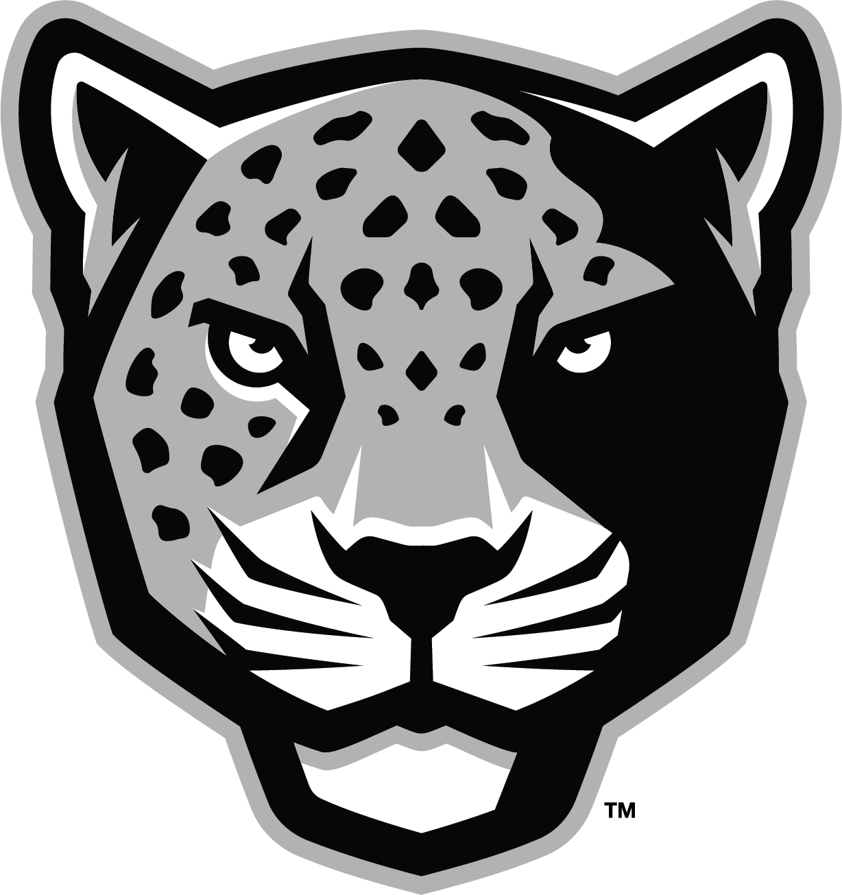 Profile of General the Jaguar.