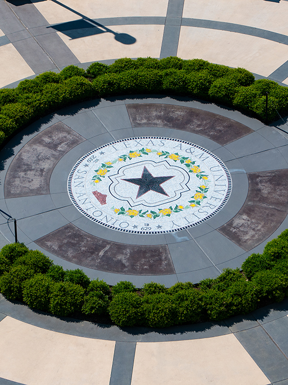 Courtyard Seal
