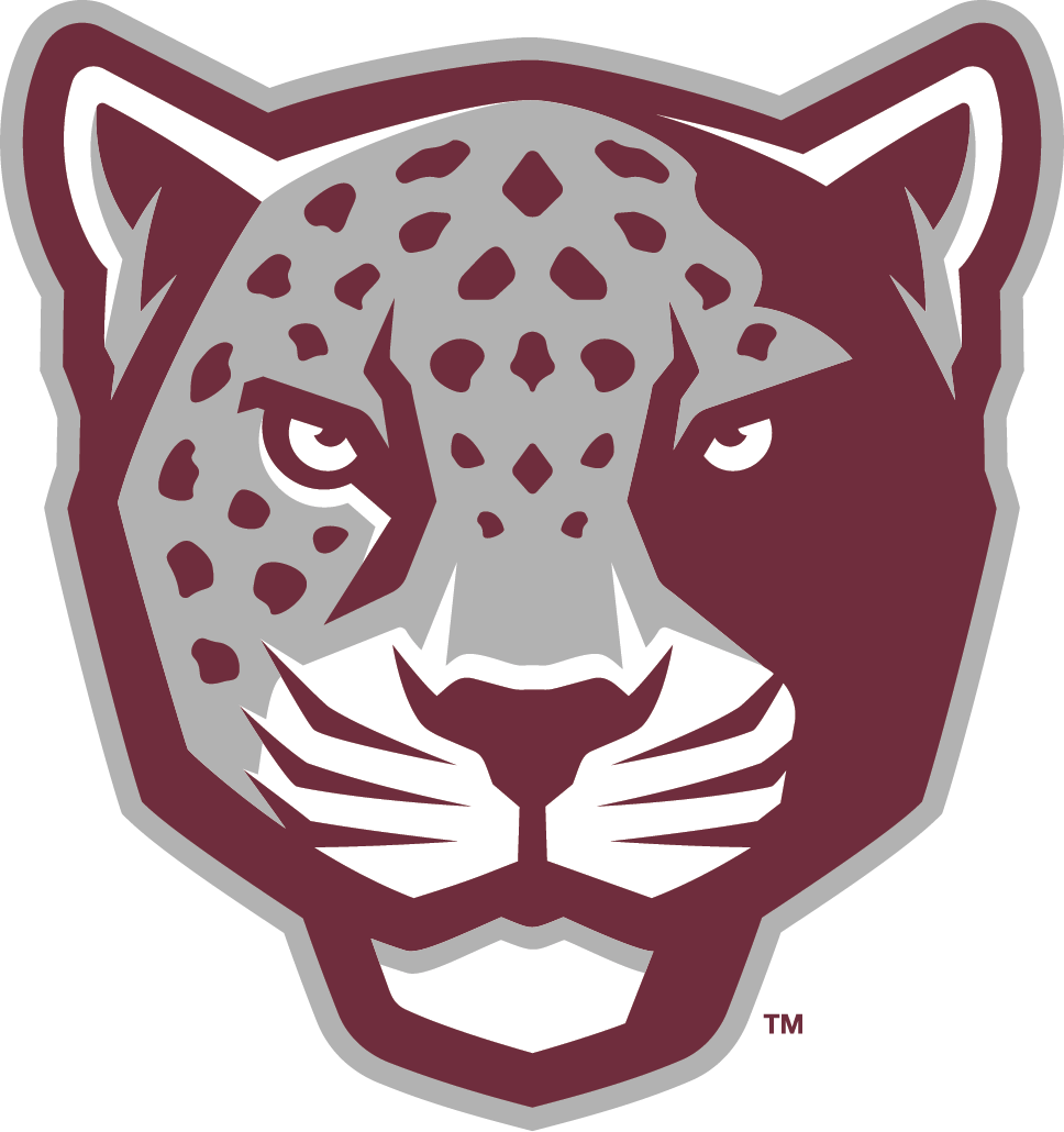 Jaguar Maroon and Grey