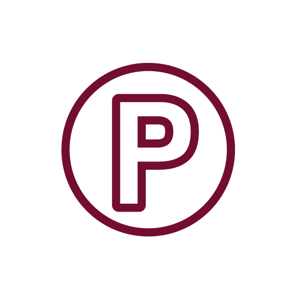 Parking Icon