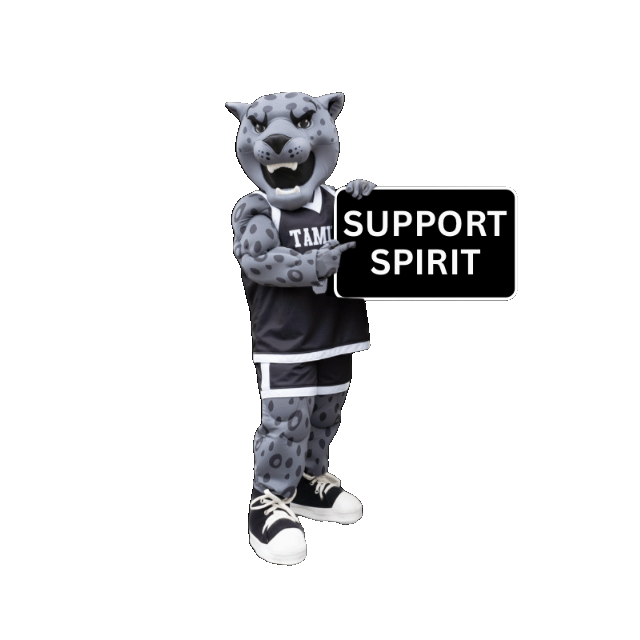Support-Spirit.png