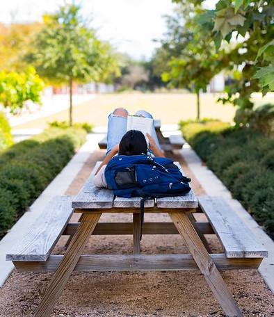 Student Studying